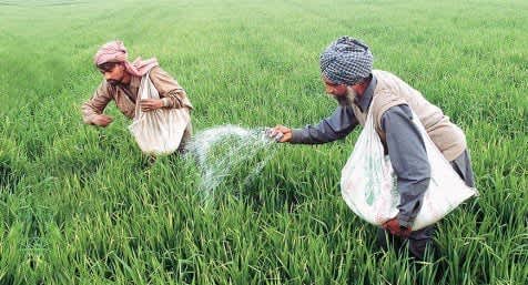 Amid global challenges, government ensured smooth fertilizer supply to farmers at affordable prices