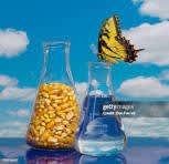 Ethanol supplies drop in November due to feedstock shortage: GEMA