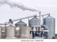 Sweet sorghum farmers waiting for Govt to announce separate ethanol pricing