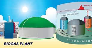 Reliance Industries to invest Rs 65,000 crore in Andhra Pradesh for biogas plants: Report