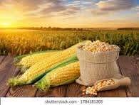 DA&FW conducts stakeholder consultation on Kharif 2024 crop production outlook; maize production expected to be promising