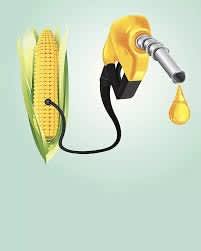 Leading ethanol producer Gulshan Polyols announces financial results