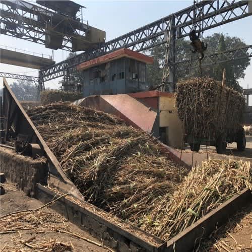 उत्तर प्रदेश: सहकारी क्षेत्र में रमाला चीनी मिल पेराई में राज्य में अव्वल