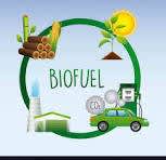 वियतनाम की Global Biofuels Alliance में शामिल होने की संभावना