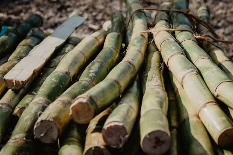 Brazil's sugar production outlook raised as weather helps harvesting