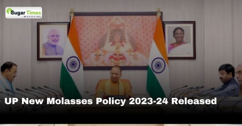 UP Molasses Policy 2023-24 Released: Focus on Continuity, Environmental Responsibility, and Sustainable Growth