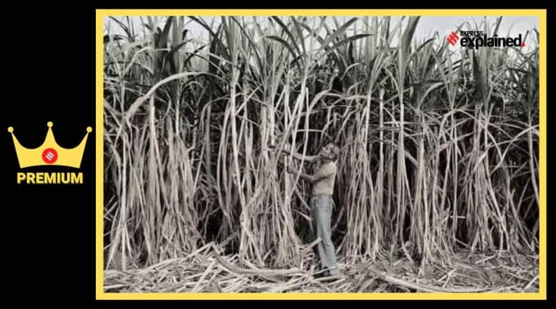 Ethanol+petrol: How to blend more and blend better