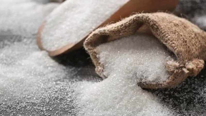 India’s sugar output next season may rise to 36 million tonnes, says USDA
