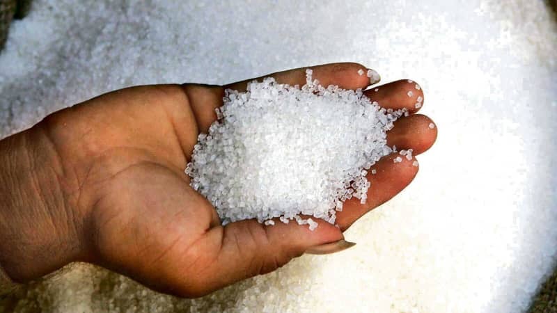India's sugar exports grow by 291% since FY14: Govt