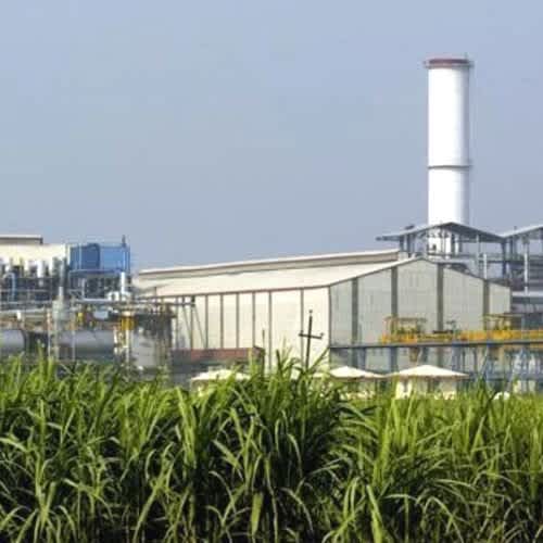 KM Sugar Mills approves modernization at Ayodhya plant