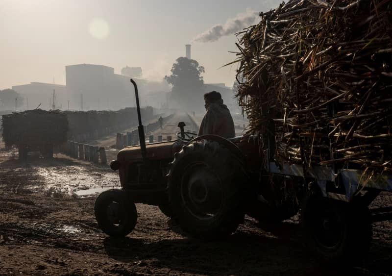 India Signs Deals To Export 7.2 Million Tonnes Sugar In 2021-22