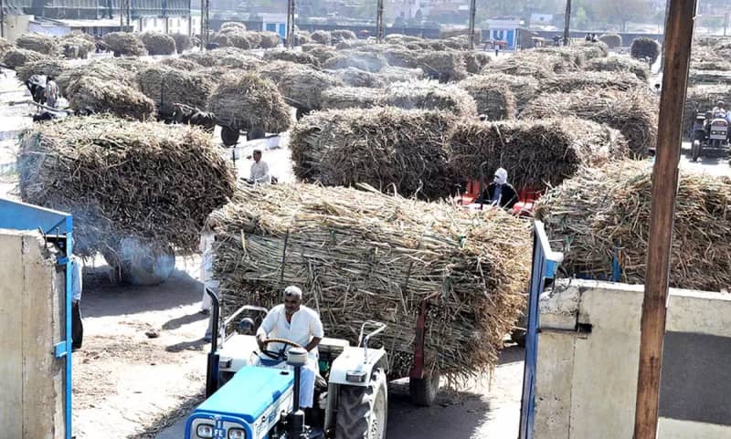 Maharashtra co-operative sugar mills scam: Auctioning continues to haunt State govt