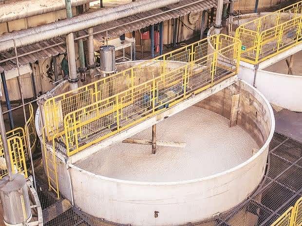 Sugar mills to deliver better revenues, profits this season: CRISIL tracker