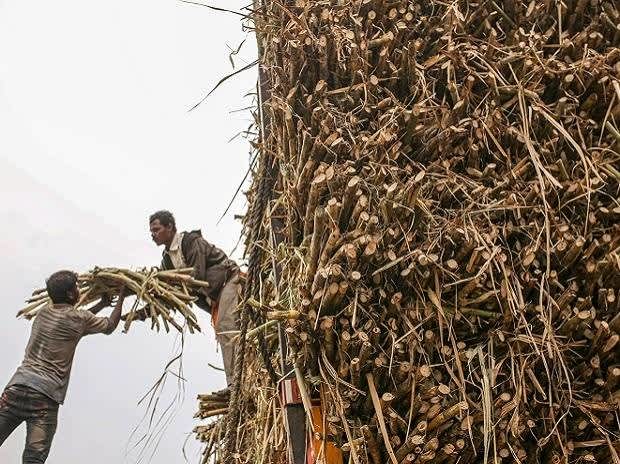 Sugar stocks rally on strong outlook; Triveni, Balrampur hit new highs