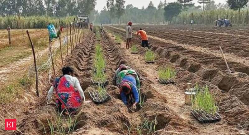 Uttar Pradesh govt owes sugarcane farmers in the state Rs 3,752 crore for 2020-21