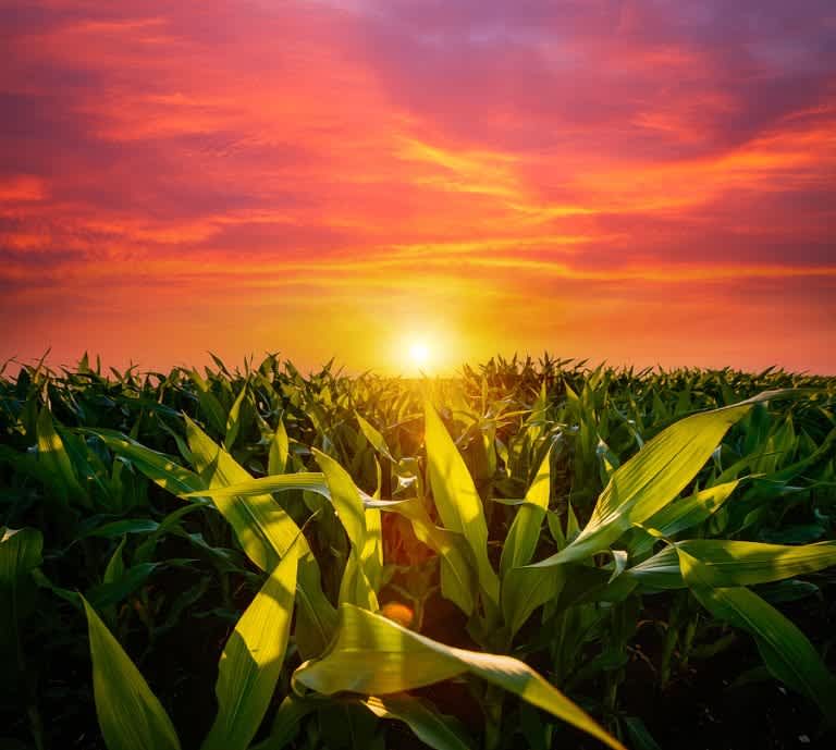 ACE supports policies to credit ethanol producers for reaching net zero GHGs by 2050