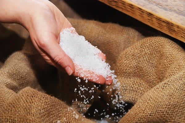 Indian sugar enters Egyptian market to fill Brazil’s void | International News