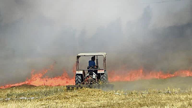Karnal to supply paddy straw to ethanol plant