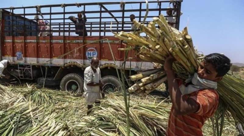 If farmers are exploited, licences will be cancelled, Maharashtra minister warns sugar mills