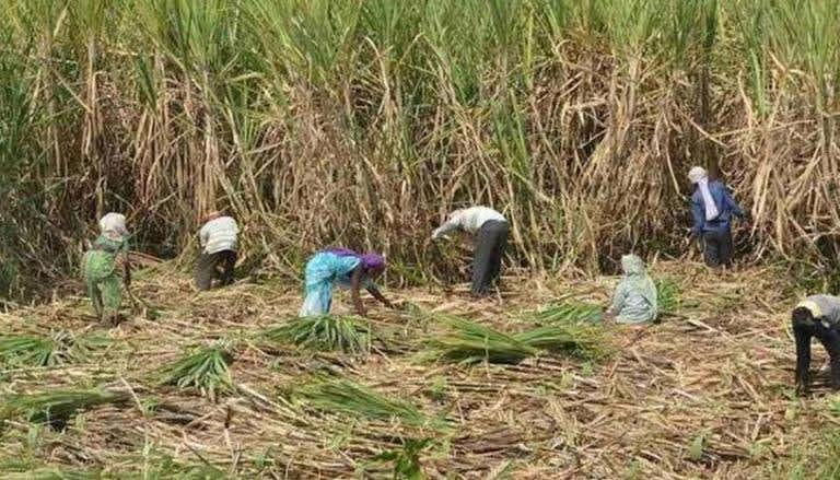 Property of Bajaj Hindusthan sugar mill attached over non-payment of dues to farmers