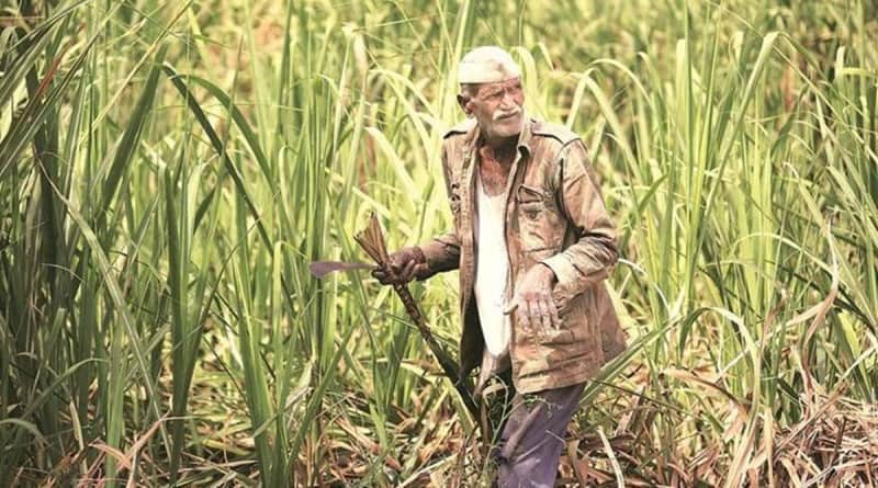 With over 50% of country’s unsold sugar stock, Maharashtra set to start next crushing season