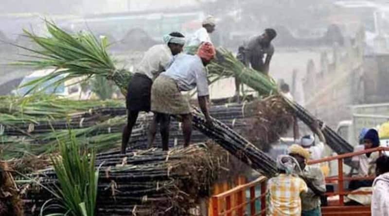 Haryana increases price of sugarcane by Rs 12 per quintal, to pay more than Punjab now