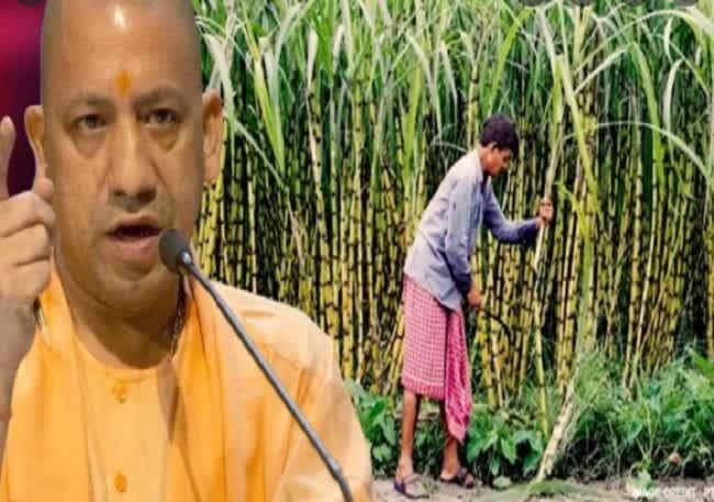 Empowering sugarcane farmers via Escrow accounts, toll free-number for direct advice to farmers