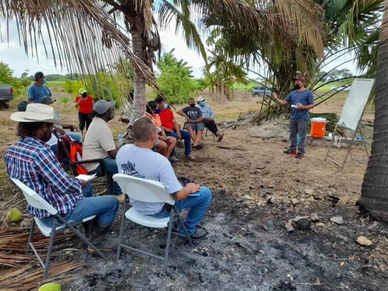 Belizean farmers diversifying from sugar cane, onion production; receive training on carrot production | International News
