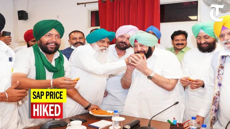 Sugarcane farmers withdraw protest after Punjab announces hike in prices