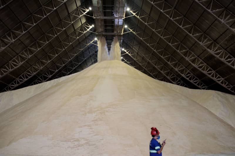 Dwarikesh Sugar Q1 Review – Distillery Volumes To Grow Three Times By 2024: ICICI Direct