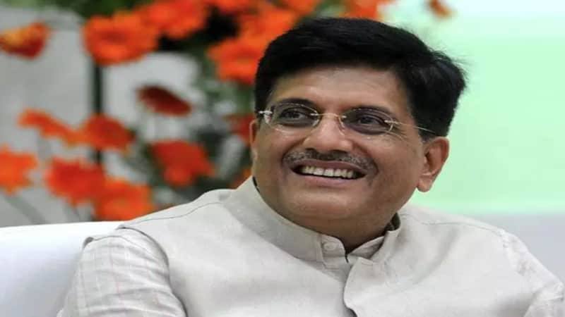 India will play leadership role in area of renewable energy: Piyush Goyal