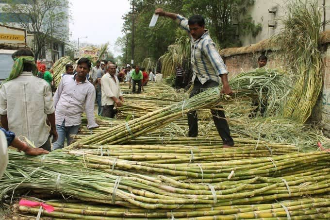 In Uttar Pradesh, sugarcane farmers not paid for 2020, get ‘zero price’ receipts for 2021