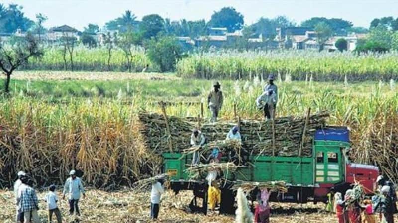 New ethanol targets reshape India’s food policy