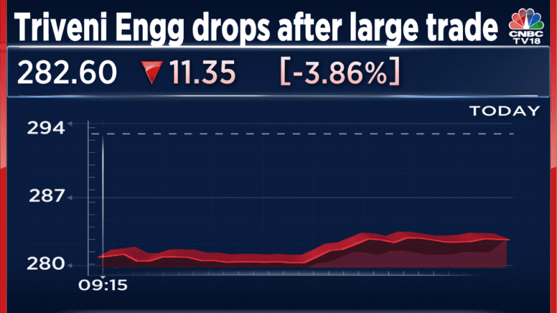 Triveni Engg slips after Q4 PAT falls 38% YoY