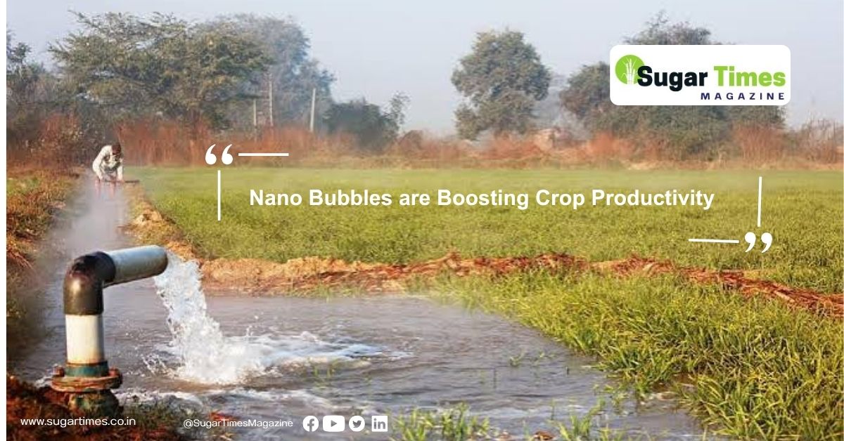 Nano Bubbles are Boosting Crop Productivity