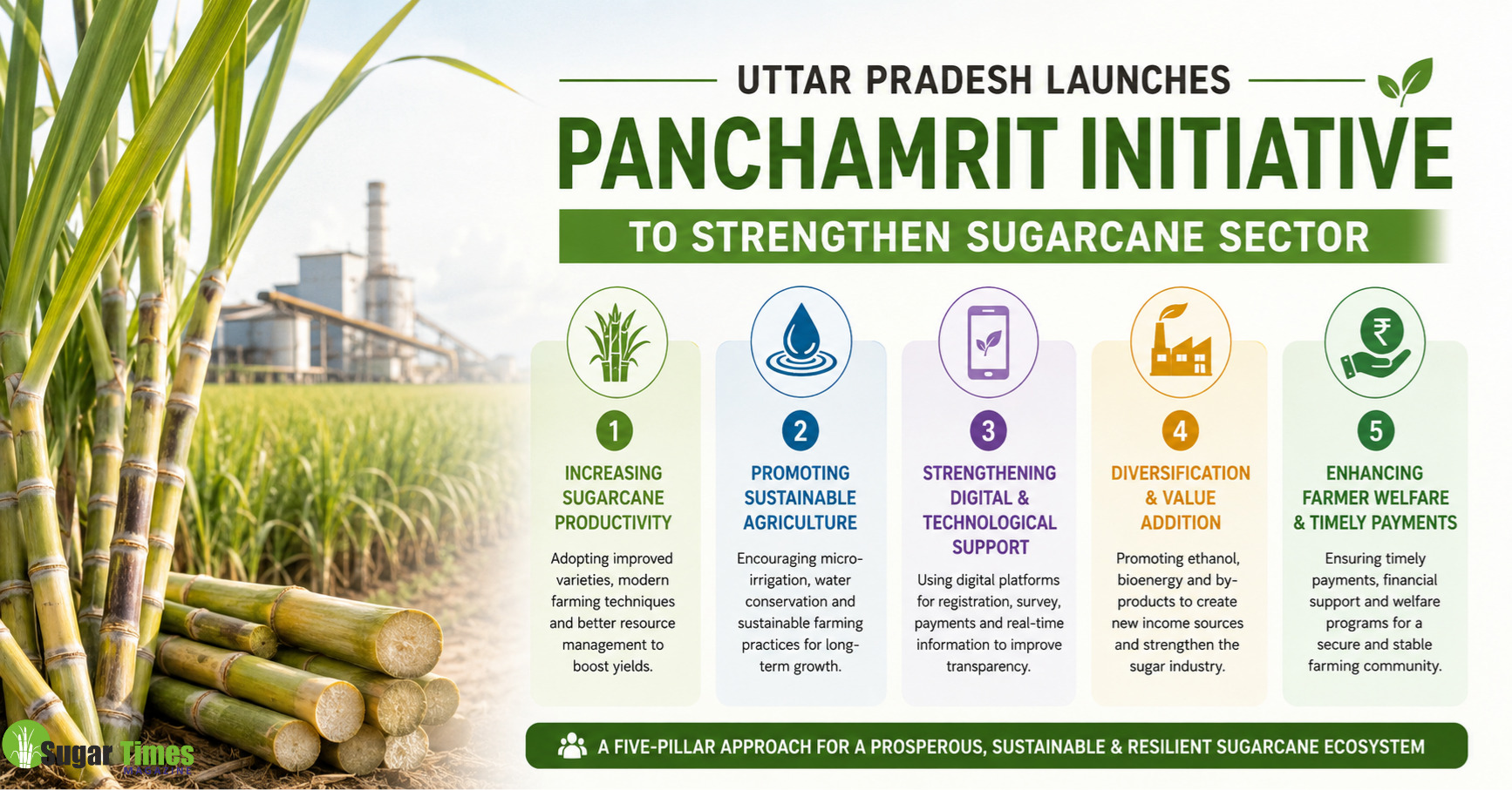 Panchamrit Yojana: How Uttar Pradesh is Transforming Sugarcane Farming Through a Five-Point Strategy