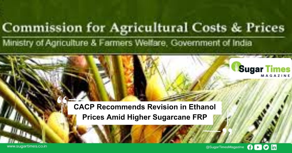 CACP Recommends Revision in Ethanol Prices Amid Higher Sugarcane FRP