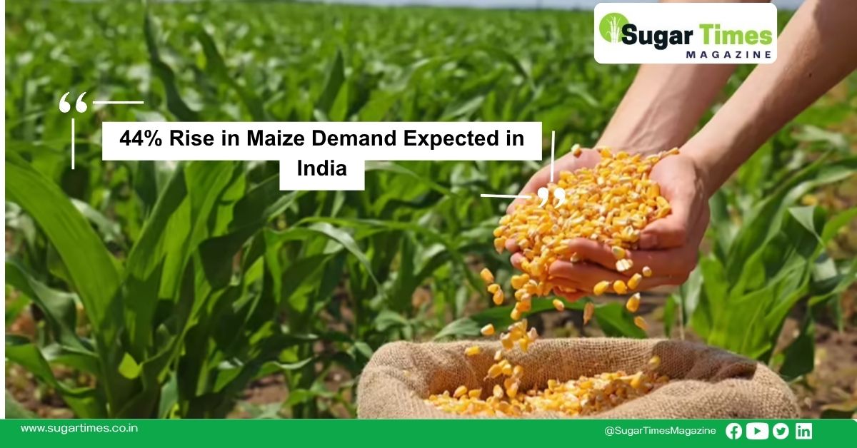 44% Rise in Maize Demand Expected in India