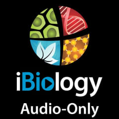iBiology Podcast