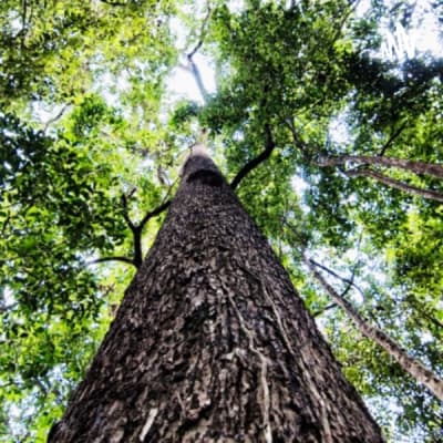 Growth and Improvement Podcast