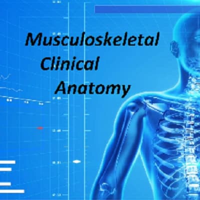 Musculoskeletal Clinical Anatomy