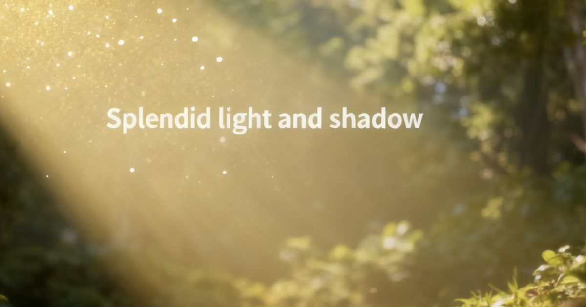 Splendid light and shadow