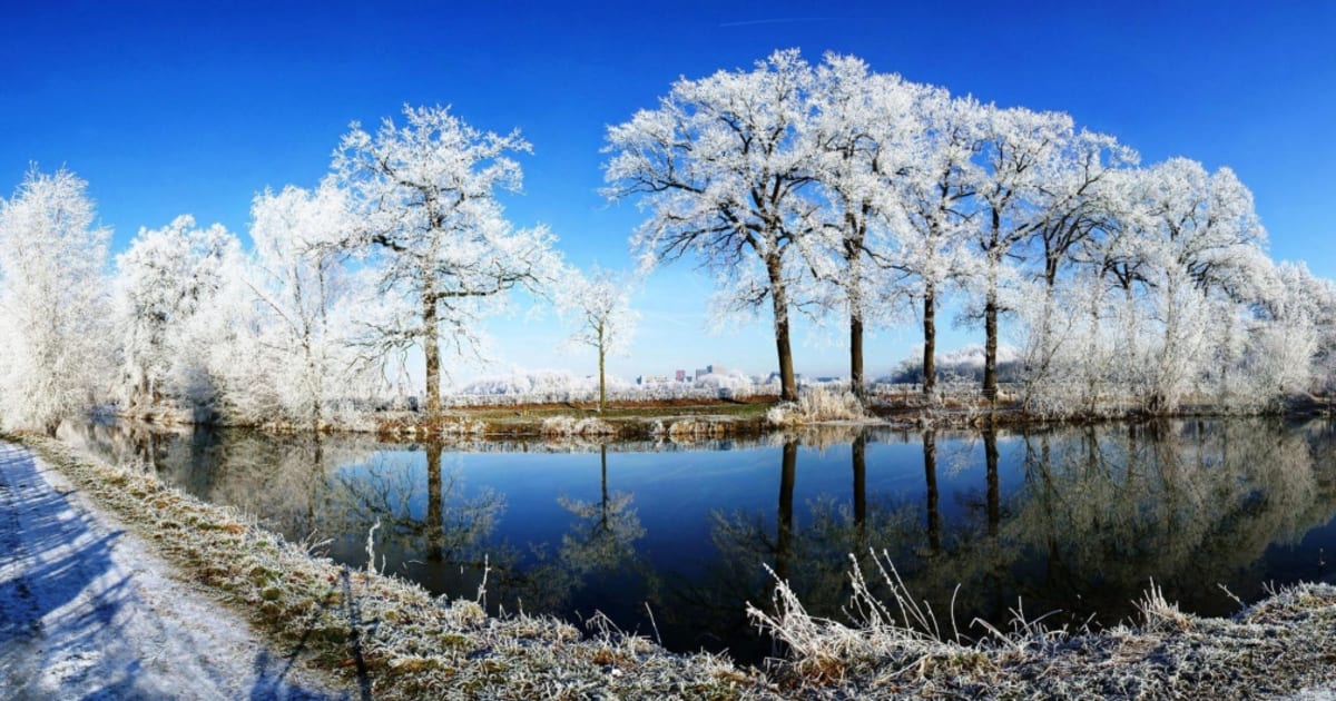 My Simple Self-Intro Page