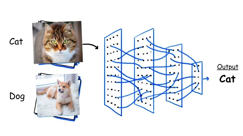 Clasificación Inteligente con Computer Vision
