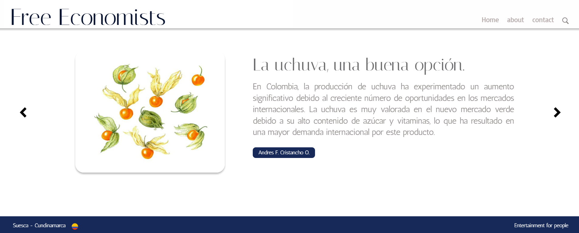 Sitio web informativo: Free Economists