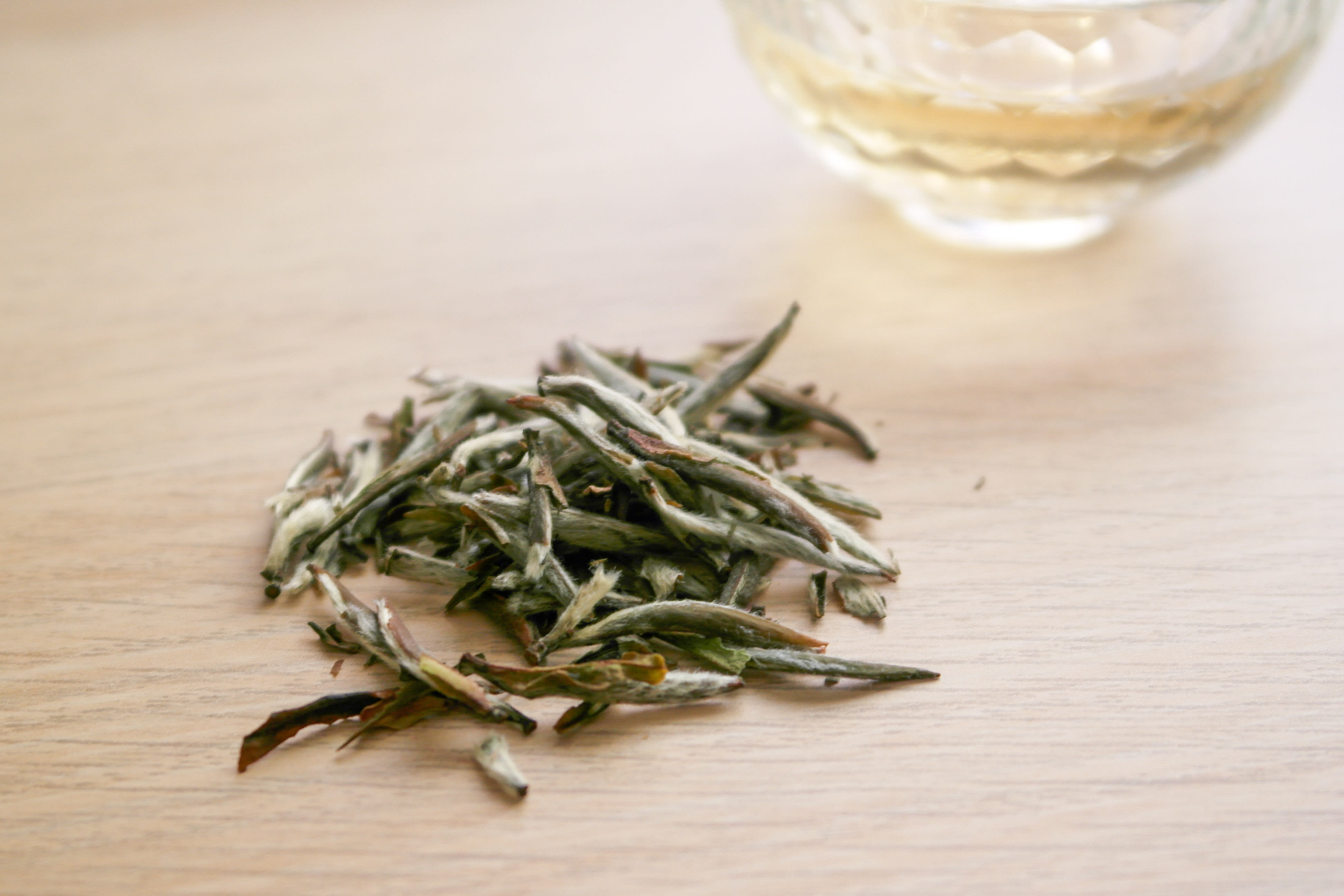 Not Just Fluff A Guide to Silver Needle White Tea Tea Curious