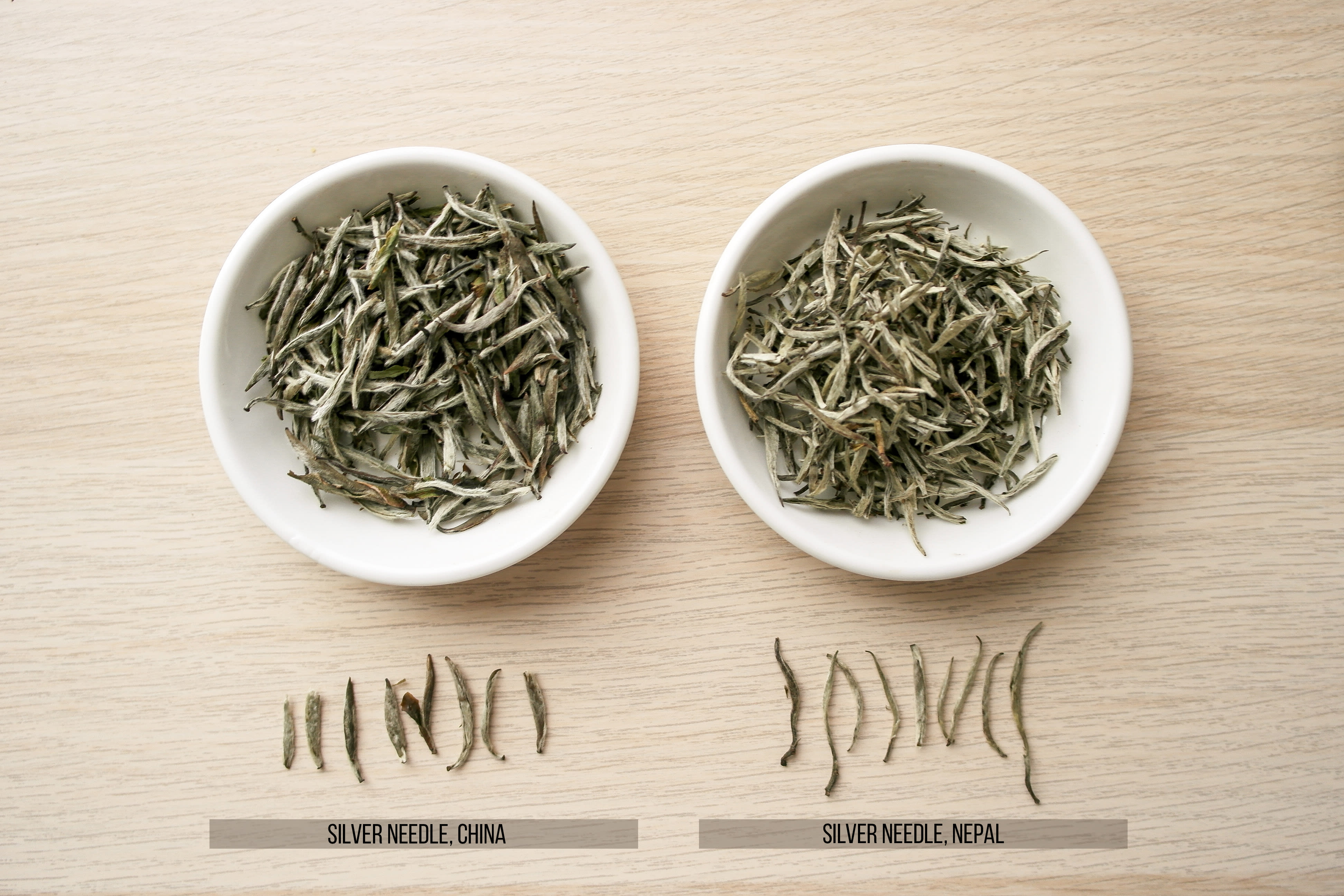 Not Just Fluff A Guide to Silver Needle White Tea Tea Curious