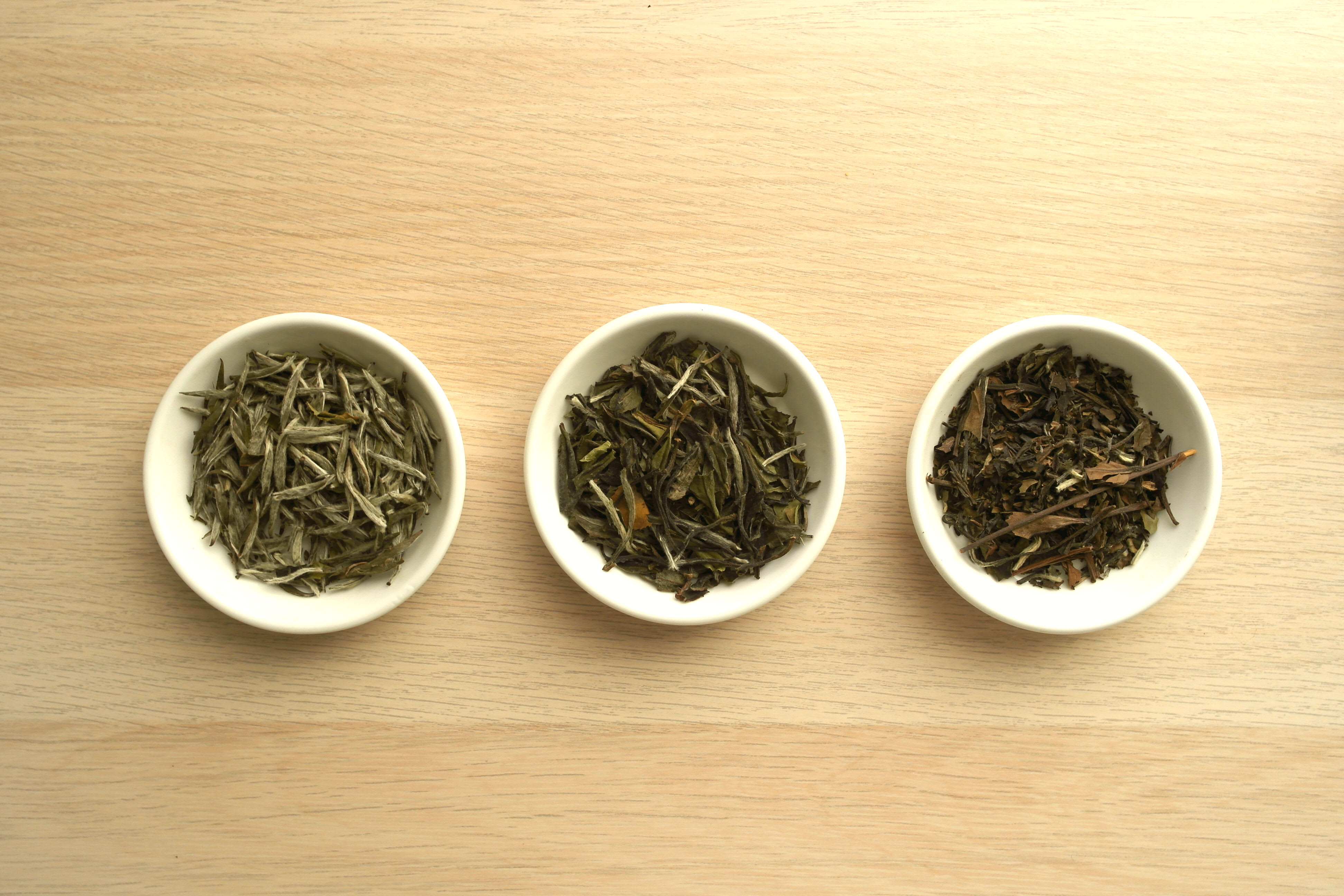 Not Just Fluff A Guide to Silver Needle White Tea Tea Curious