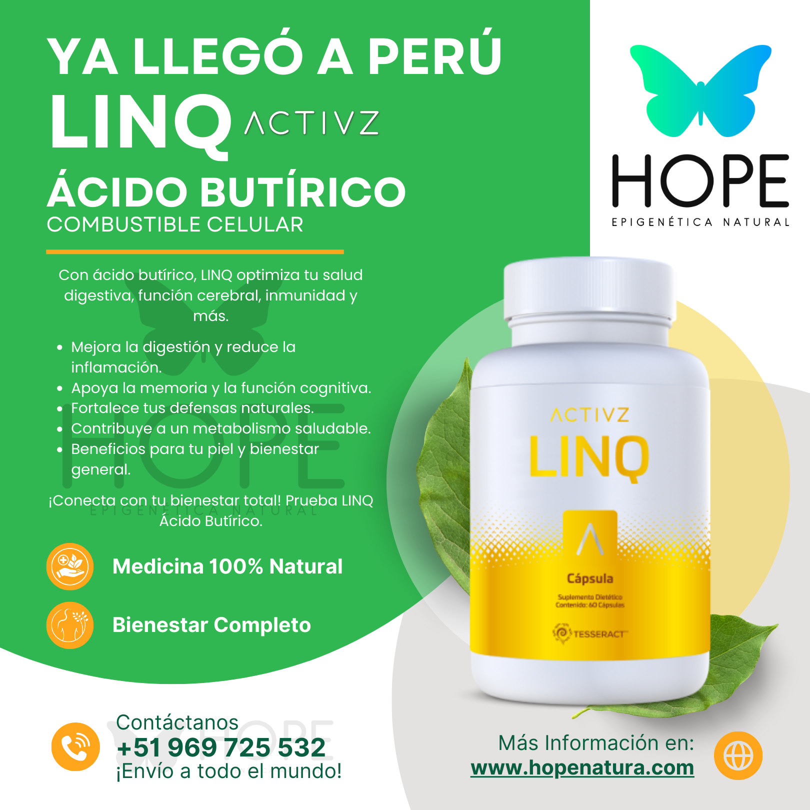 LINQ Ácido Butírico B4