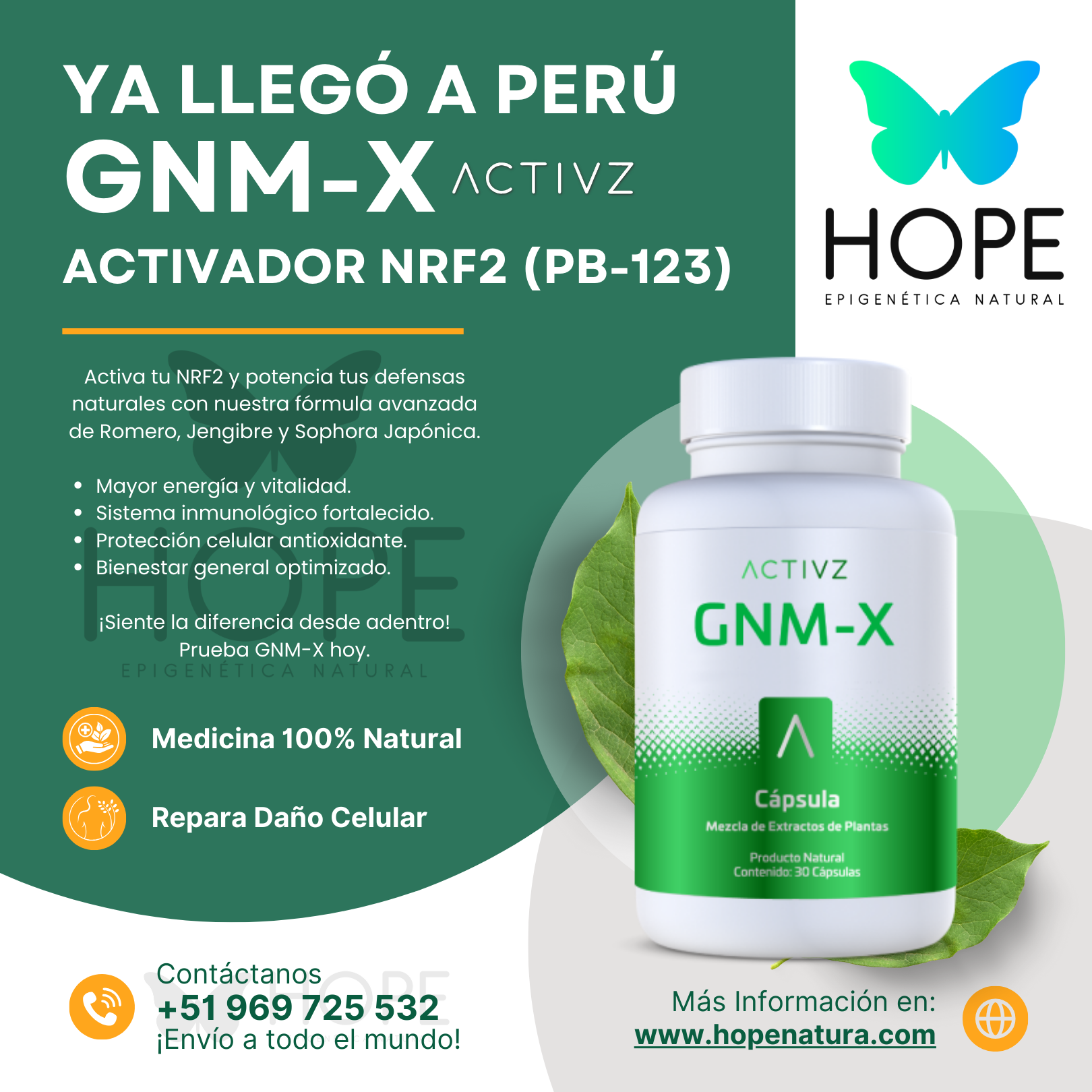 GNM-X Activador NRF2 B4